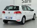 Volkswagen Golf Golf 5p 1.4 United 80cv Bianco - thumbnail 5
