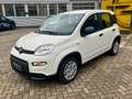 Fiat Panda Pandina - KLIMA/DAB+/BLUETOOTH/PDC Blanc - thumbnail 2