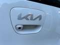 Kia Picanto 1.0 DPI DYNAMICLINE 5-DRS LUXE UITVOERING! Wit - thumbnail 11