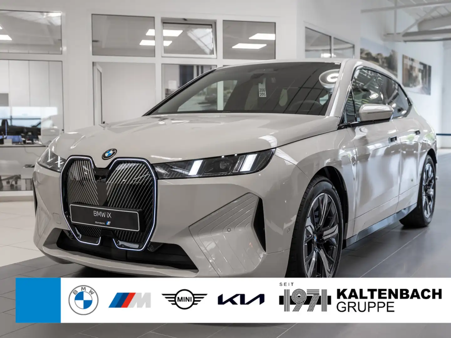 BMW iX xDrive 45 360° LED AHK NAVI H/K KAMERA SHZ Grijs - 1