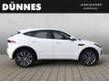 Jaguar E-Pace P250 R-Dynamic AWD Aut. Weiß - thumbnail 6