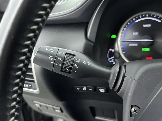 Lexus NX view 4