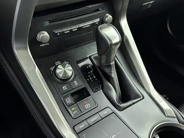 Lexus NX view 5