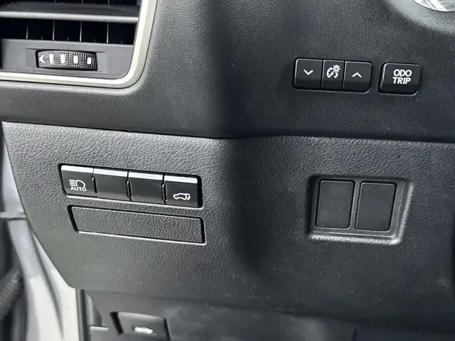 Lexus NX view 14