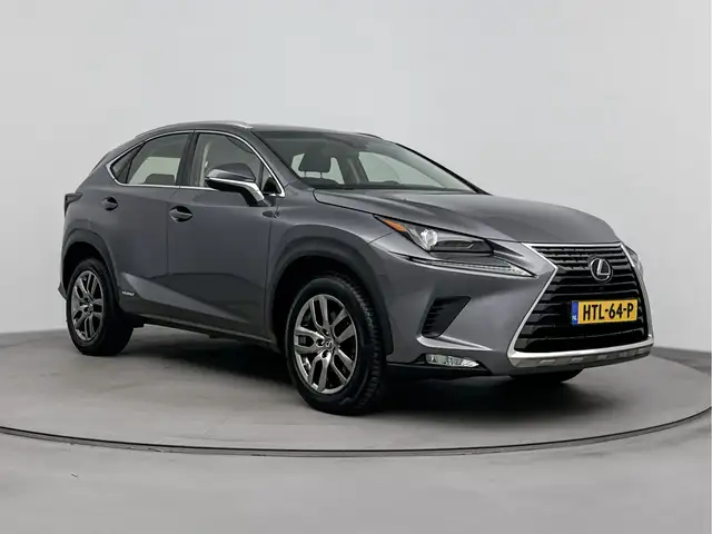 Lexus NX view 11