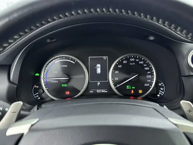 Lexus NX view 15