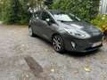 Ford Fiesta Fiesta 1.0 EcoBoost -AUTO/CLIMA/CARPLAY - btw incl Grijs - thumbnail 2