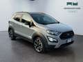 Ford EcoSport 2018 - EcoSport 1.0 ecoboost Active s&s 125cv Grau - thumbnail 3