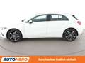 Mercedes-Benz A 250 A 250e Progressive Aut.*NAVI*LED*TEMPO* Weiß - thumbnail 3