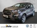 Ford EcoSport 1,0 EcoBoost Cool&Connect LENKRADHZG+TEMP Grau - thumbnail 1