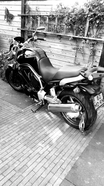 Yamaha BT 1100 BULLDOG