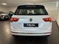 Volkswagen Tiguan TIGUAN 2.0 DSG 150CV R-LINE PRONTA CONSEGNA Weiß - thumbnail 8