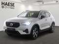 Volvo XC40 Plus Dark B3 EU6e HarmanKardon Navi Digitales Cock Gris - thumbnail 1
