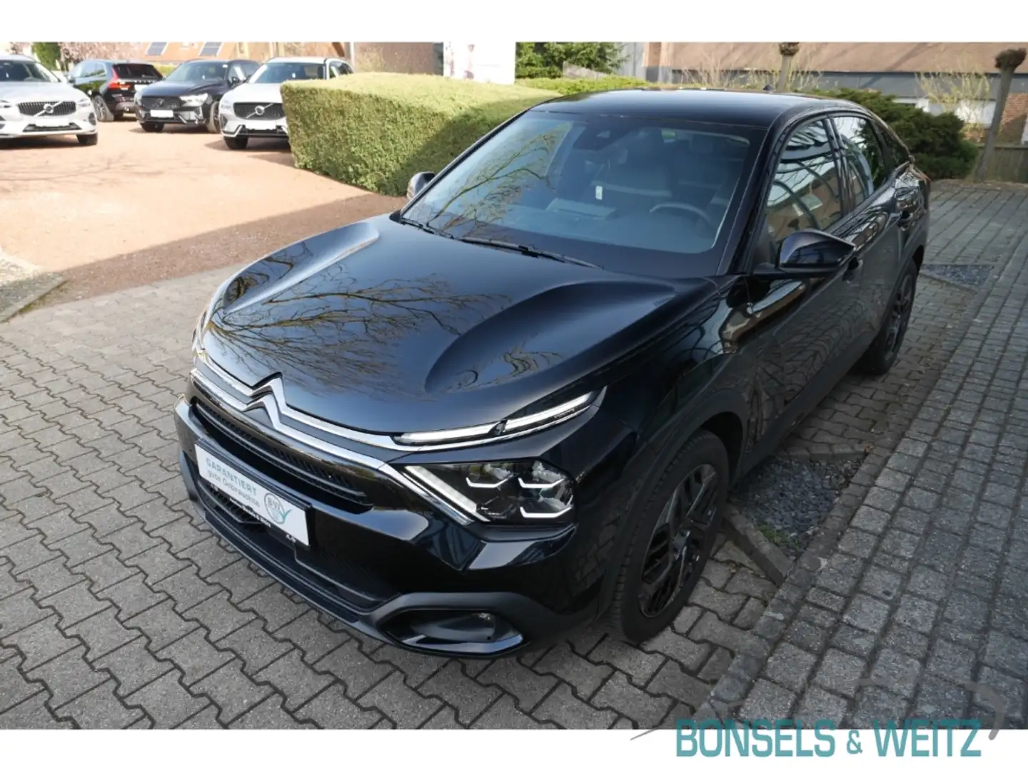 Citroen C4 Plus 1.2 PureTech EU6d PT 130 S&S PLUS Digitales C Schwarz - 2