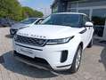 Land Rover Range Rover Evoque Range Rover Evoque 2.0D I4-L.Flw 150 CV AWD Auto Bianco - thumbnail 2