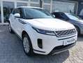 Land Rover Range Rover Evoque Range Rover Evoque 2.0D I4-L.Flw 150 CV AWD Auto Bianco - thumbnail 1