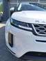 Land Rover Range Rover Evoque Range Rover Evoque 2.0D I4-L.Flw 150 CV AWD Auto Bianco - thumbnail 7