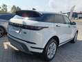Land Rover Range Rover Evoque Range Rover Evoque 2.0D I4-L.Flw 150 CV AWD Auto Bianco - thumbnail 3