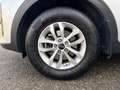 Kia Sportage Style 1.6 GDI Grau - thumbnail 10