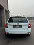 Skoda Octavia 1.6 TDI DPF Drive | Service & Pickerl NEU | NAVI Weiß - thumbnail 7