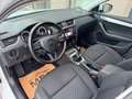 Skoda Octavia 1.6 TDI DPF Drive | Service & Pickerl NEU | NAVI Weiß - thumbnail 13