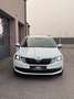 Skoda Octavia 1.6 TDI DPF Drive | Service & Pickerl NEU | NAVI Weiß - thumbnail 2