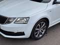 Skoda Octavia 1.6 TDI DPF Drive | Service & Pickerl NEU | NAVI Weiß - thumbnail 4