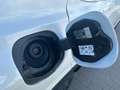 Nissan Qashqai QASHQAI MY24 1.5 VC-T e-POWER 190 PS N-Connecta Wit - thumbnail 29