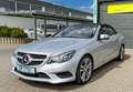 Mercedes-Benz E 250 CDI DPF RFK SHZ NAVI NACKENHEIZ. Zilver - thumbnail 9