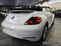 Volkswagen Maggiolino VOLKSWAGEN -  - 1.2 TSI Design BMT ALLST Blanc - thumbnail 12