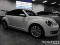 Volkswagen Maggiolino VOLKSWAGEN -  - 1.2 TSI Design BMT ALLST Blanc - thumbnail 4