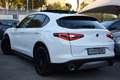 Alfa Romeo Stelvio 2.2 160 CV AT8 RWD Super *MY21*TETTO PANORAMICO* Blanc - thumbnail 4