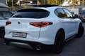 Alfa Romeo Stelvio 2.2 160 CV AT8 RWD Super *MY21*TETTO PANORAMICO* Blanc - thumbnail 3