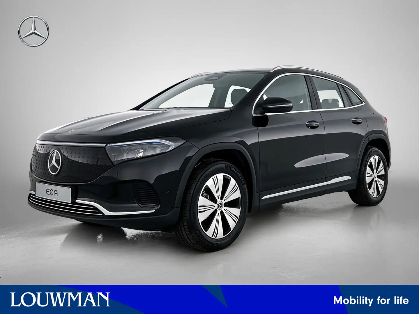 Mercedes-Benz EQA 250 250+ Business Solution 71 kWh | Parkeerpakket met Zwart - 1