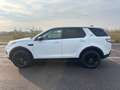 Land Rover Discovery Sport 2.0 Diesel TD4 Bianco - thumbnail 5