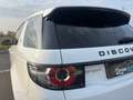 Land Rover Discovery Sport 2.0 Diesel TD4 Bianco - thumbnail 7