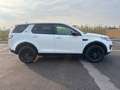 Land Rover Discovery Sport 2.0 Diesel TD4 Blanc - thumbnail 4