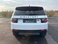 Land Rover Discovery Sport 2.0 Diesel TD4 Bianco - thumbnail 3