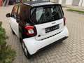 smart forTwo fortwo coupe electric drive / EQ Blanc - thumbnail 10