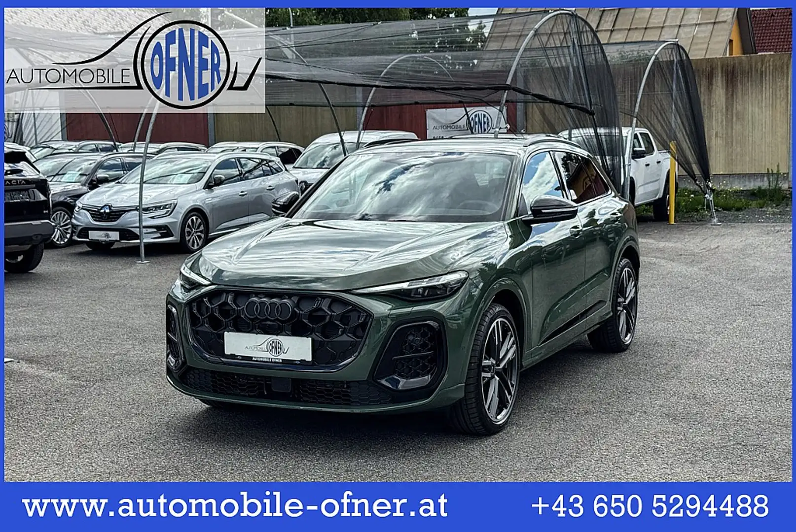 Audi Q5 TDI 150kW quattro S-tronic S-Line AHK Matrix-LE... Grün - 1