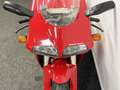 Ducati 916 Rouge - thumbnail 10