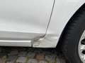 Ford Fiesta Individual* Leder*Navi* Kamera* 1 Hand Weiß - thumbnail 19