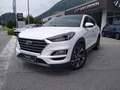 Hyundai TUCSON 2,0 CRDI 4WD LEVEL 6 Aut. Weiß - thumbnail 2