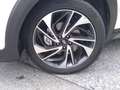 Hyundai TUCSON 2,0 CRDI 4WD LEVEL 6 Aut. Weiß - thumbnail 3