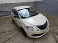 Lancia Ypsilon 1.2 - 69 CV -ADATTA A NEOPATENTATI Beige - thumbnail 3