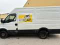Iveco Daily 35 c15 V Weiß - thumbnail 2