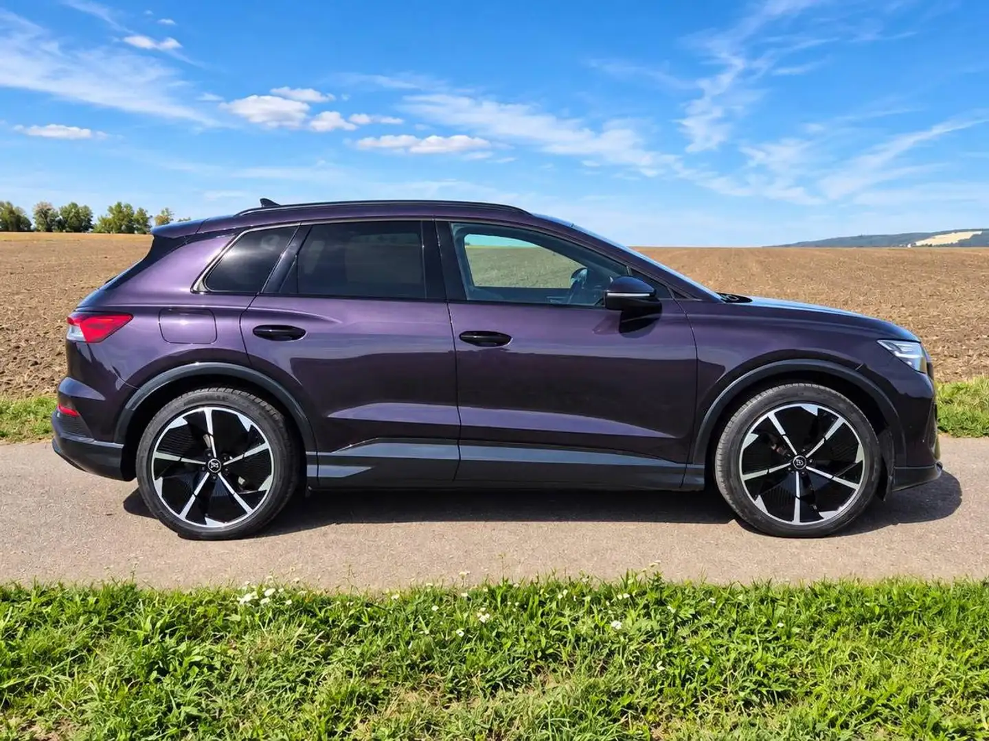 Audi Q4 e-tron Audi Q4 50 e-tron quattro 220kW | 299 PS | S line | Matrix LED | SONOS | Wärmepumpe Violett - 1