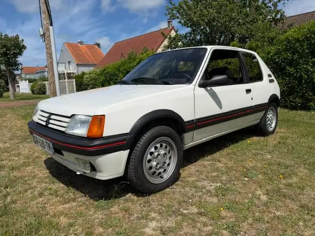 Peugeot 205 205 1.6 GTi