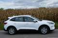 Ford Kuga Hybrid Cool&Connect Weiß - thumbnail 3