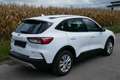 Ford Kuga Hybrid Cool&Connect Weiß - thumbnail 4